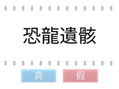 下列何者屬於化石？