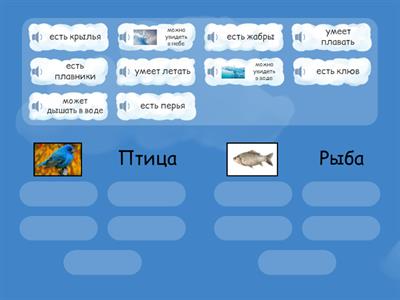 Птица и рыба