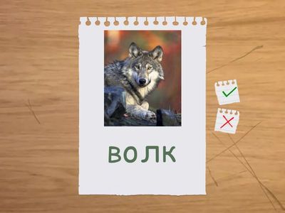 Связная речь. Л в предложениях 