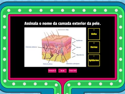 A Pele - 4º ano