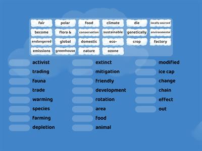 NI7 Environment Glossary