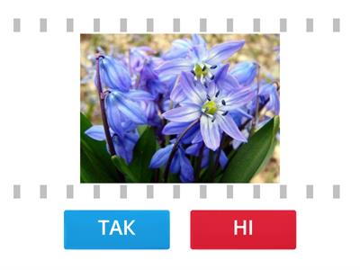 Досліджуємо весну 1 клас