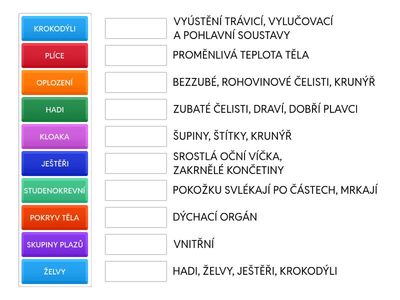 PLAZI - ZÁKLADNÍ INFORMACE
