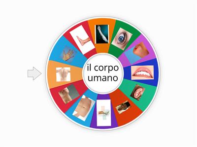 corpo umano