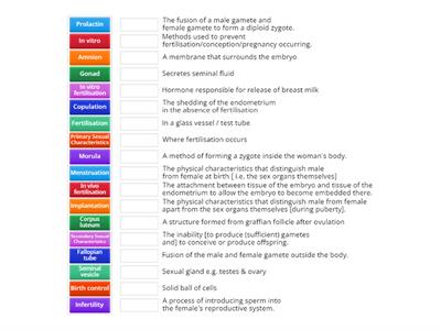 LC Biology - Definitions - Human Reproduction