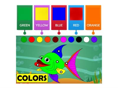 Colors
