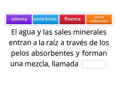 La nutrición en las plantas.