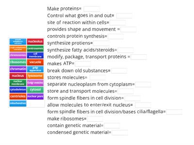 Somatic Cell Functions