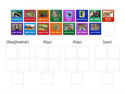 Živočichové našich lesů - přiřazovaní do tříd