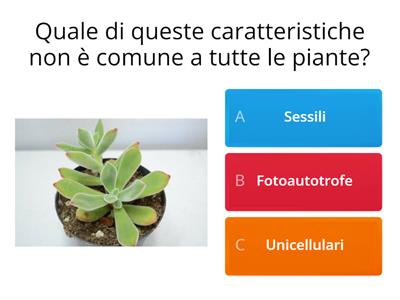 Le piante  (scienze)