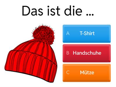 die Kleidung