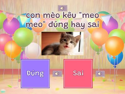 Trò chơi Đúng/Sai