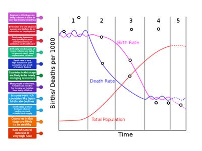 CEW Demographic Transition Model 