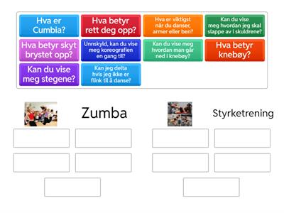 DLA 5d  Zumba eller styrketrening?