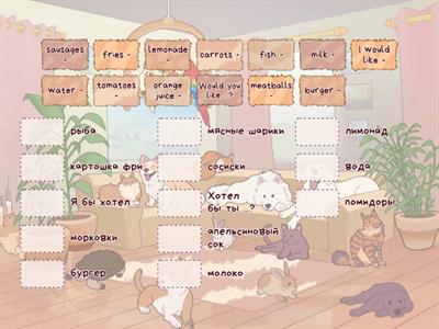 Новые слова