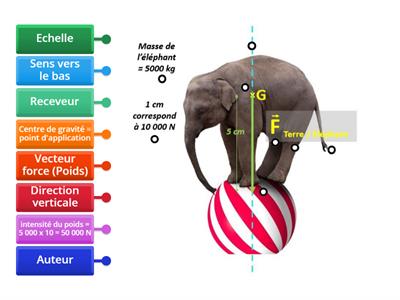 Représentation du poids