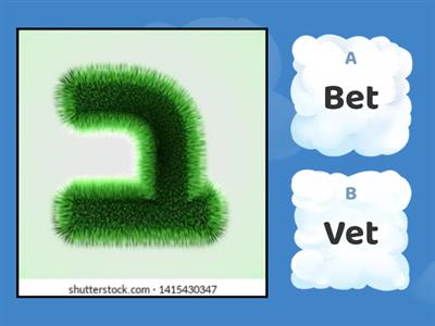 Bet Vs. Vet