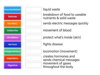 Body System Functions