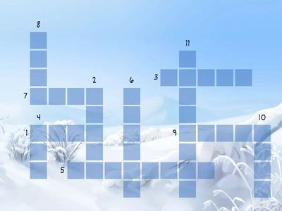 Irregular plural nouns- CW