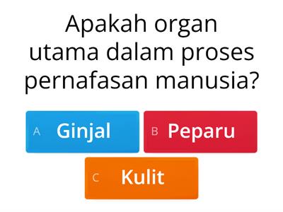 Organ Pernafasan & Proses Pernafasan Manusia