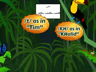 Initial, medial, and final positions & Sounds of the Arabic alphabets- Speed Quiz