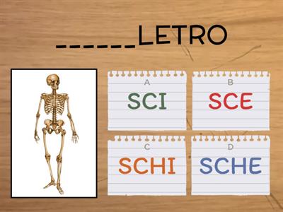 SCI SCE SCHI SCHE 