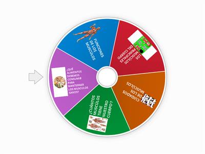 SISTEMA LOCOMOTOR (LOS MUSCÚLOS)