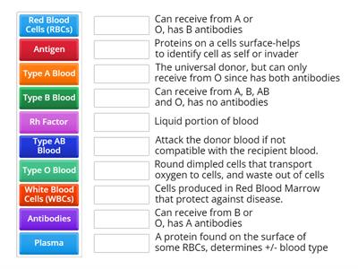 BLOOD Facts