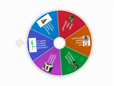 cunoasterea mediului