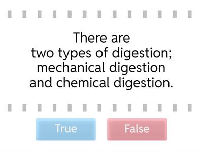 Digestive System True or False