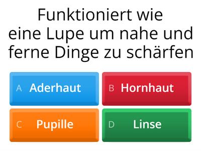 Funktion/Bestandteile- Das Auge 