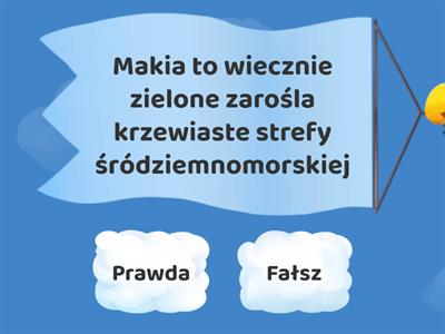 Krajobraz śródziemnomorski