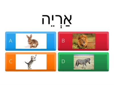 חיות - животные 