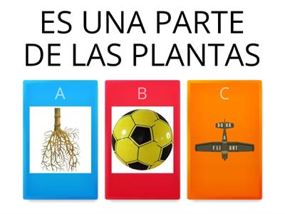 LAS PLANTAS