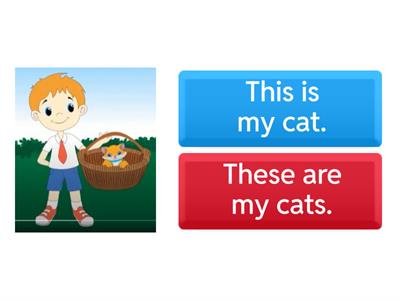  Demonstrative and Interrogative Pronouns