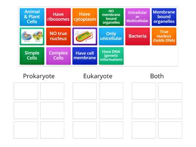 Prokaryote vs. Eukaryote 