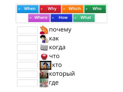 question words