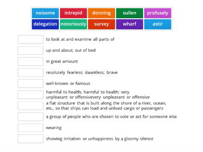 Mr. Revere and I Vocabulary pt.2