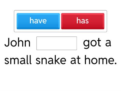 have got/has got  5 excel 