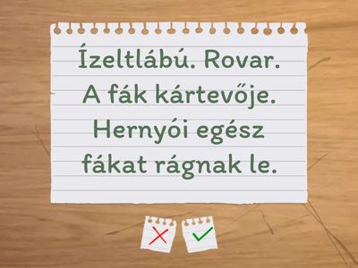 2. Ízeltlábúak az erdőben