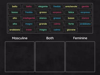 Adjective Gender
