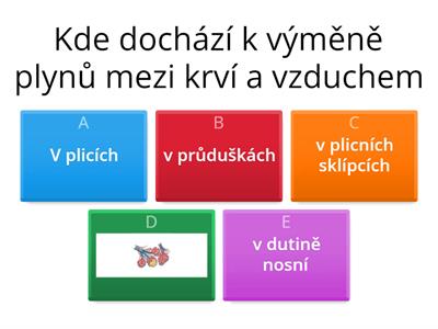 Oběhová a dýchací soustava