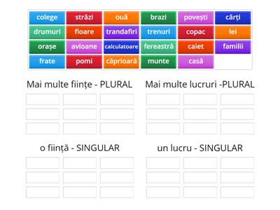 SINGULAR - PLURAL