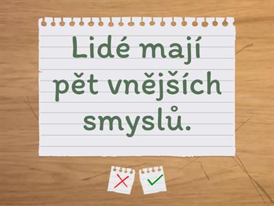 Český jazyk - Pravda nebo lež?