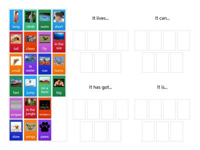 It lives, it can, it has got, it is (Pop 3 - unit 3)