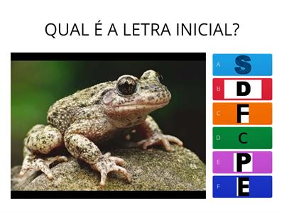 QUAL A É A LETRA QUE COMEÇA?