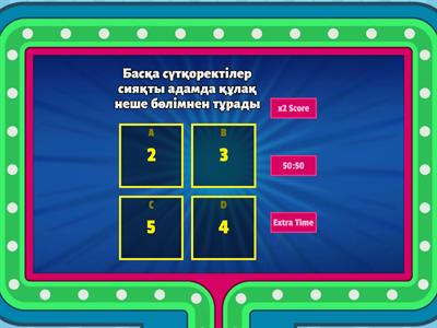 Естегі шыны мүшесі