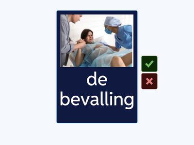 voortplanting NT2 | zwangerschap | flashcards