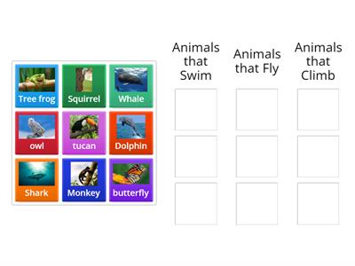 Animal Classification by Movement