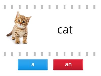 A or An - Single Nouns